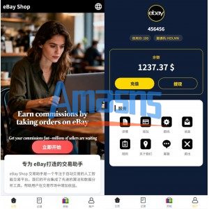 多语言eBay抢单刷单系统/40单任务快杀盘/连单卡单