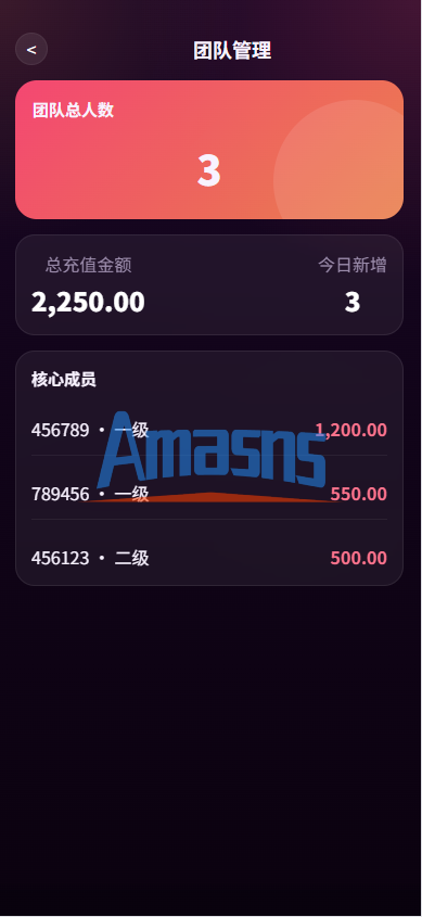 新版TIKTOK抢单刷单/打针派单/连单卡单/JAVA刷单