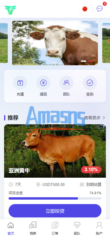 多语言养殖投资系统/养牛投资返利/签到/前端VUE