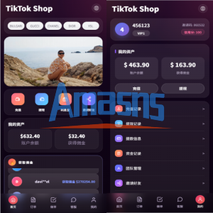 新版TIKTOK抢单刷单/打针派单/连单卡单/JAVA刷单