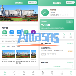 新版海外投资理财系统/医疗项目基金投资/贷款/余额宝