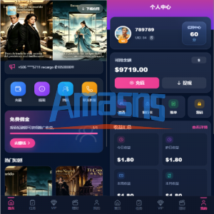 多语言视频任务系统/VIP任务/视频返利/余额宝/前端VUE