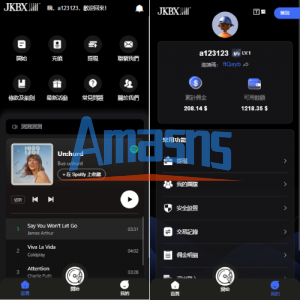 海外音乐抢单刷单系统/卡单/重置订单/前端VUE