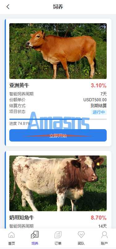 多语言养殖投资系统/养牛投资返利/签到/前端VUE